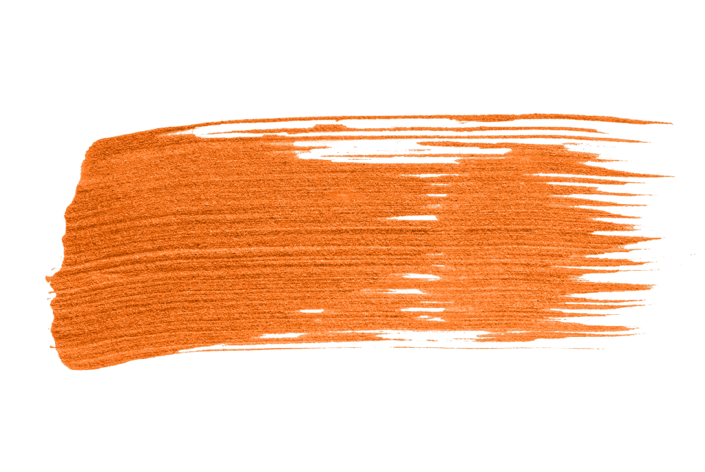 Phepanathi Trading - Orange Paint Brush